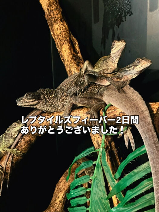 画像3261