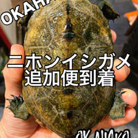 画像3286