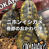 画像3293