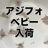 画像3309