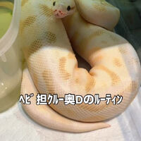 画像3317