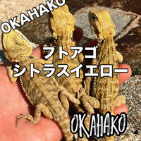 画像3319