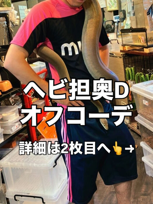 画像3325