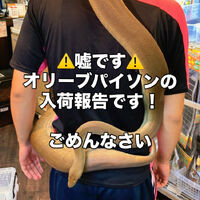 画像3326