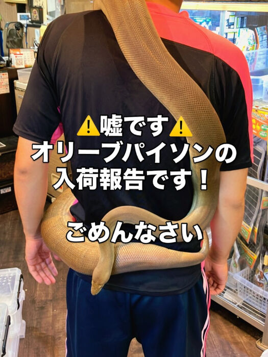 画像3326