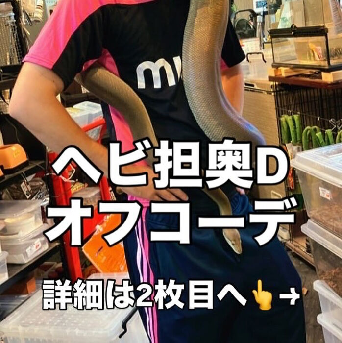 画像3331
