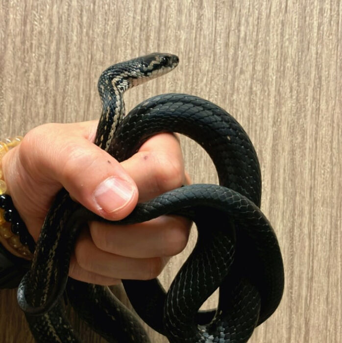 画像3340