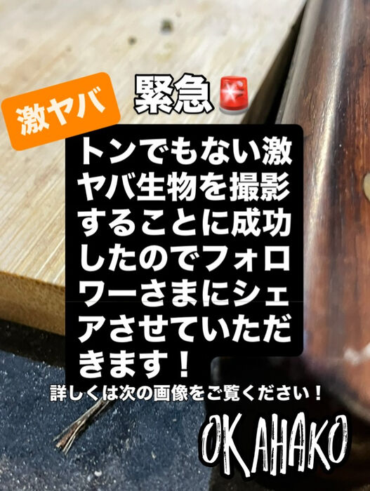 画像3471
