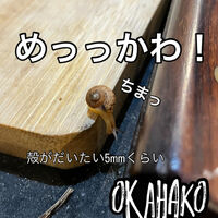 画像3473