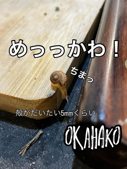 画像3473