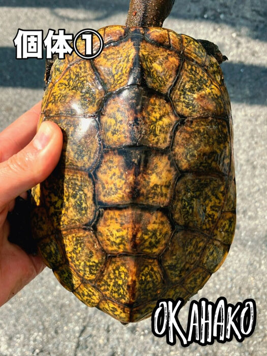 画像3477