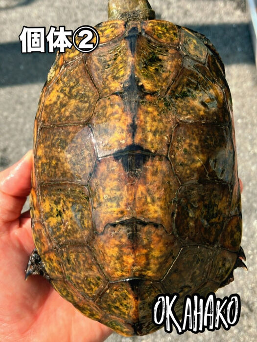 画像3479