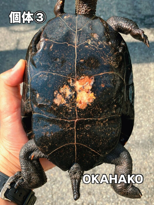 画像3482