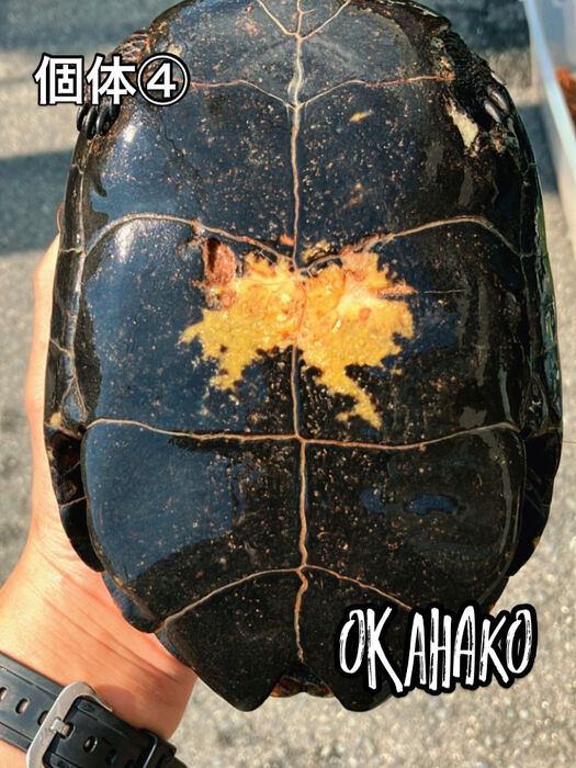画像3484