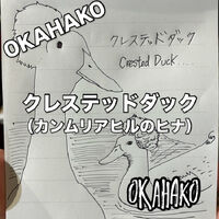 画像3486