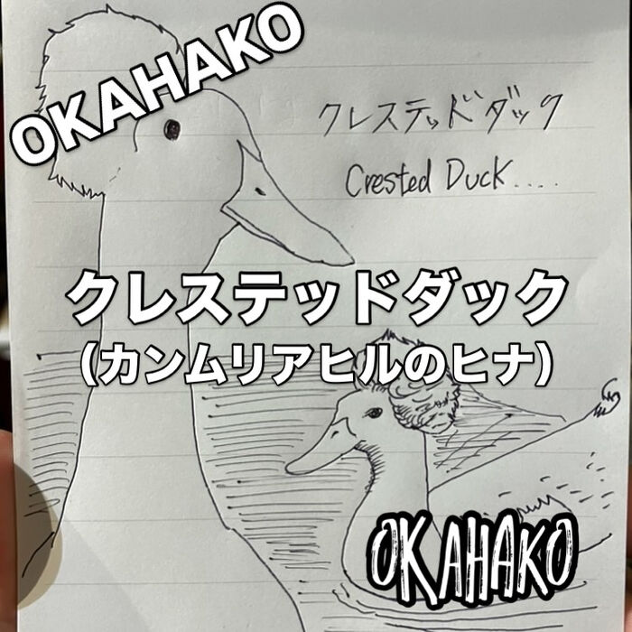 画像3486