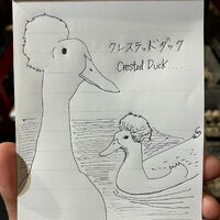 画像3487