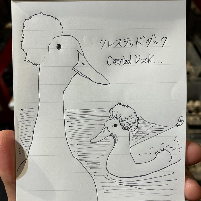 画像3487