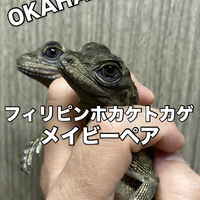 画像3490