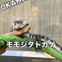 画像3623