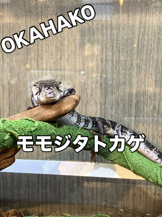 画像3623