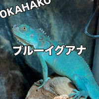 画像3681