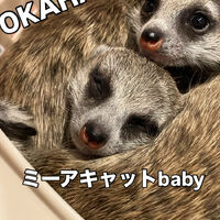 画像3689