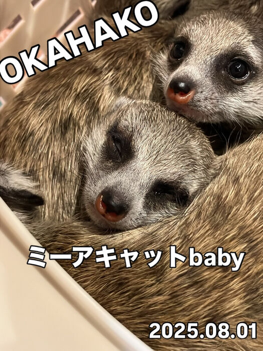 画像3689