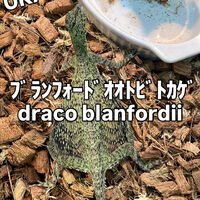 画像3694