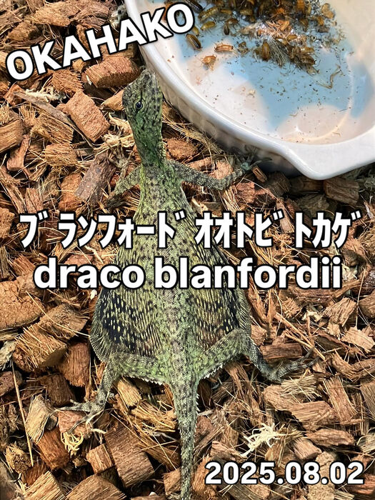 画像3694