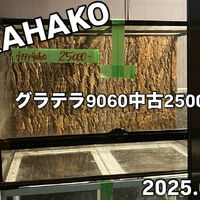 画像3700