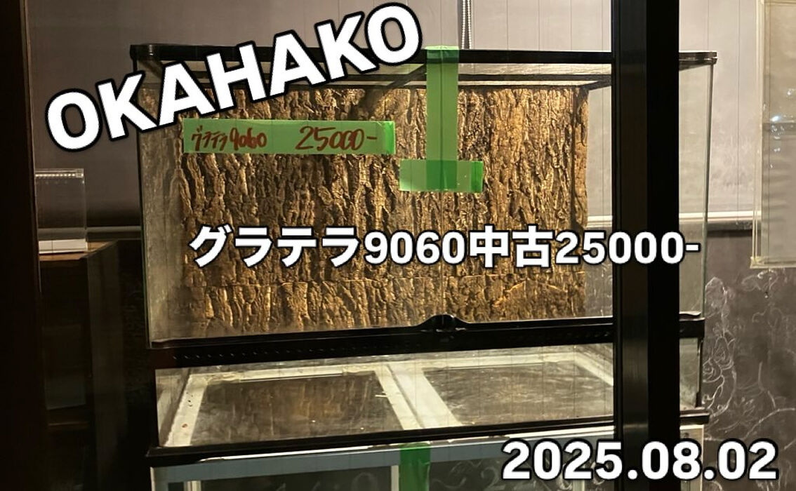 画像3700