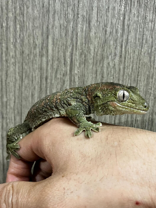 画像3720