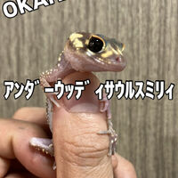 画像3722
