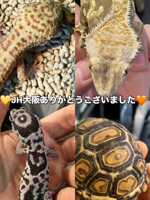 画像3728