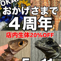 画像3730
