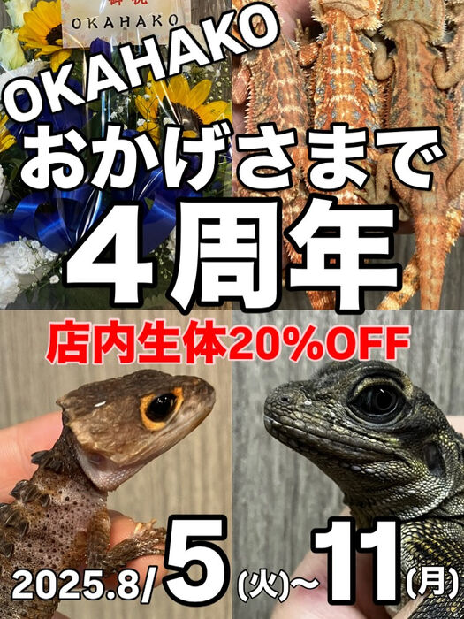 画像3730