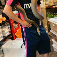 画像3747