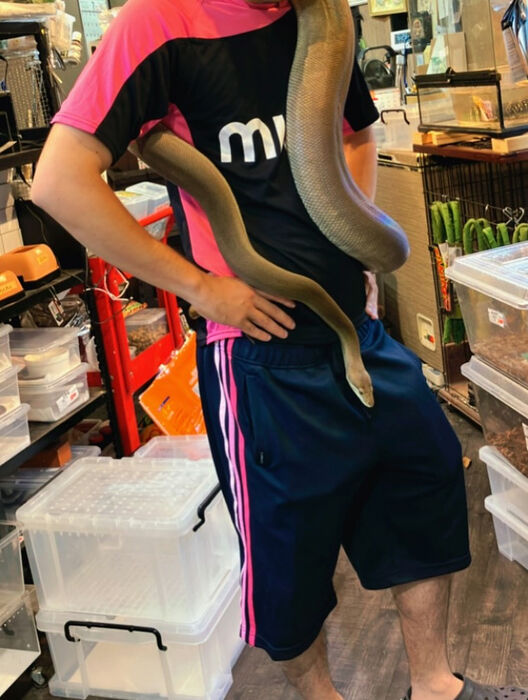 画像3747