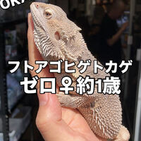 画像3751