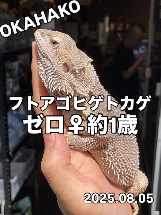 画像3751