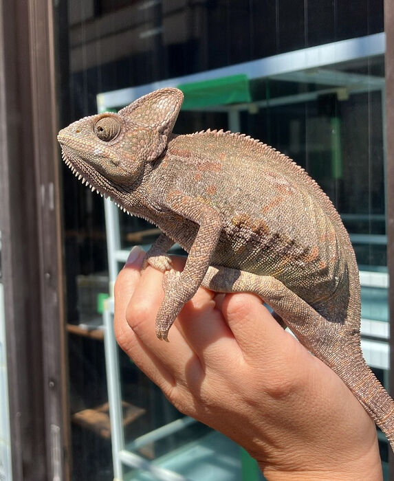 画像3755