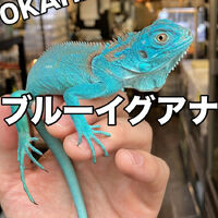 画像3830
