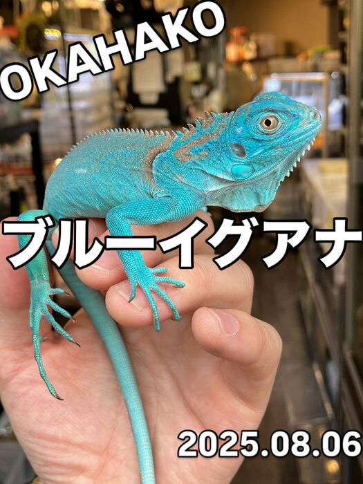 画像3830