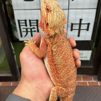 画像3839