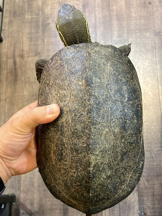 画像3843