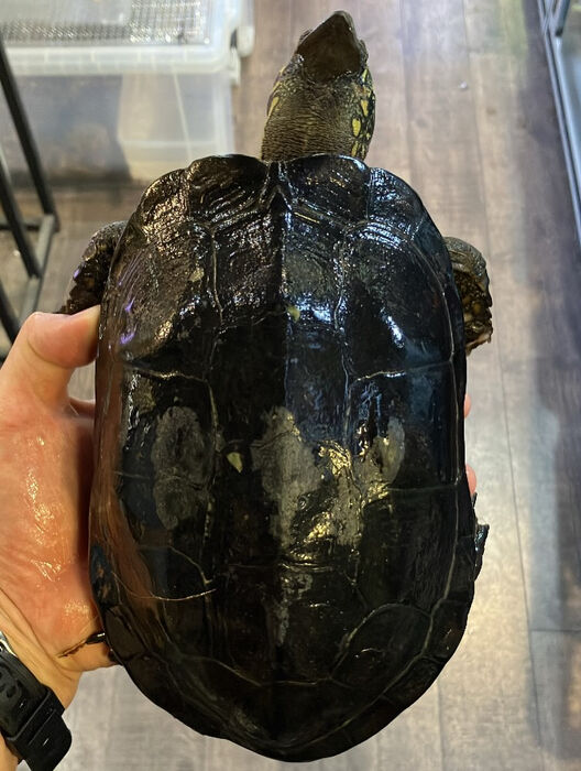 画像3848