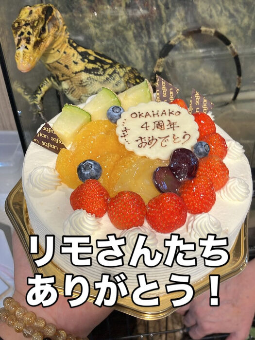 画像3908