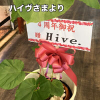 画像3909