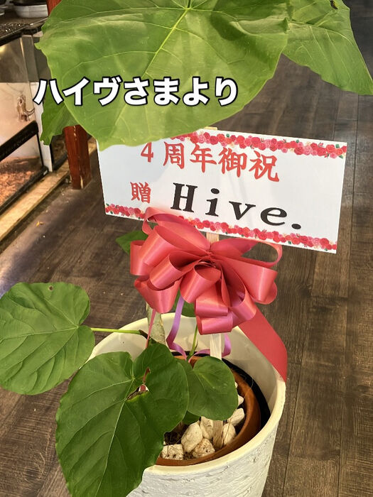 画像3909